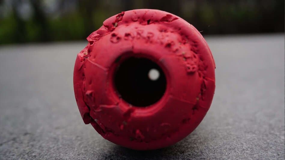 Multipet Gorrrrilla Dog Toy Review Chew Test